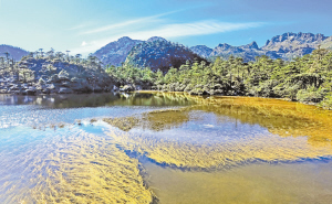 　螺髻山仙草湖。 涼山在線.jpg